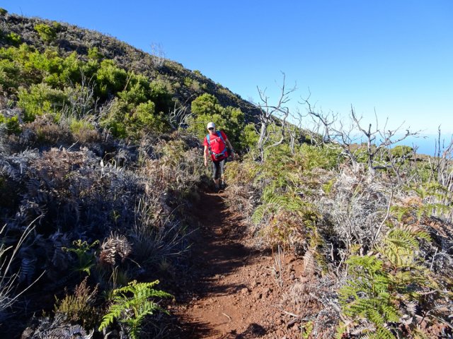 La montée est rarement forte et le sentier toujours en bon état