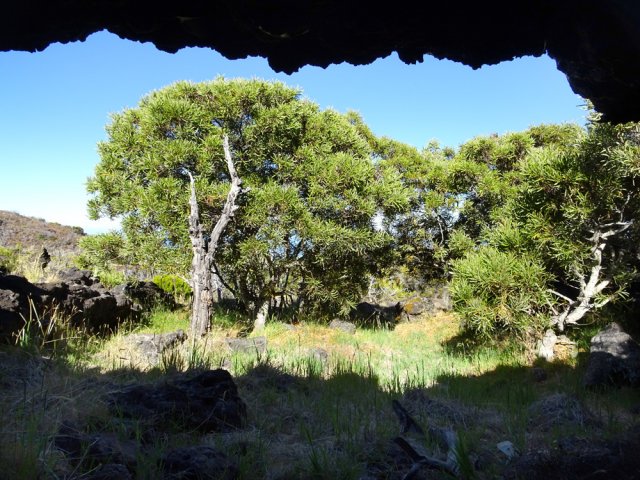 La caverne du Piton Rouge, la première de la série