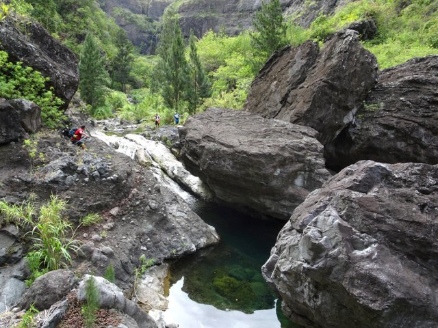 Certains pèsent des centaines de tonnes