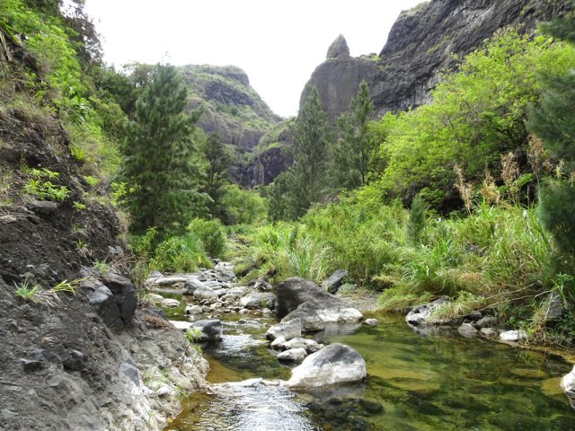 Une idée de la végétation du fond de la vallée