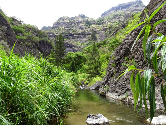 Dernier bassin d'eau claire à l'approche de la fin du parcours