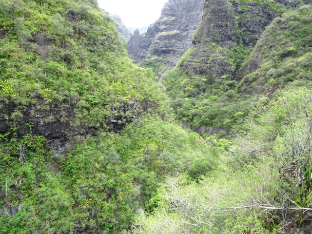 Le Bras d'Oussy depuis la passerelle. Une idée de l'aventure