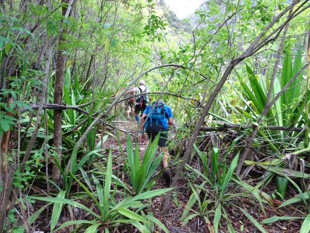 Le sentier qui rejoint le bras débute discrètement dans les chocas