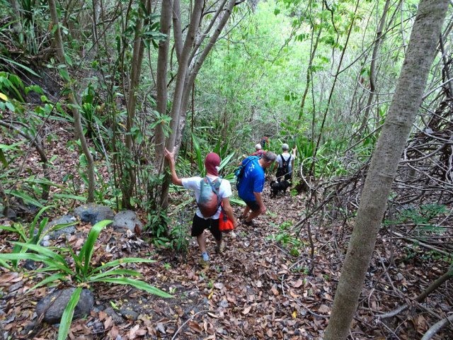 La descente est courte mais très verticale et glissante