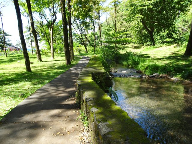 Balade en légère descente le long du ruisseau