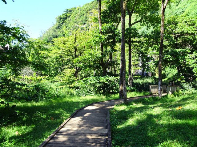 Les planchers de qualité remplacent parfois le béton