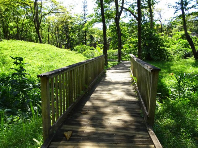 Une idée des passerelles sans végétation