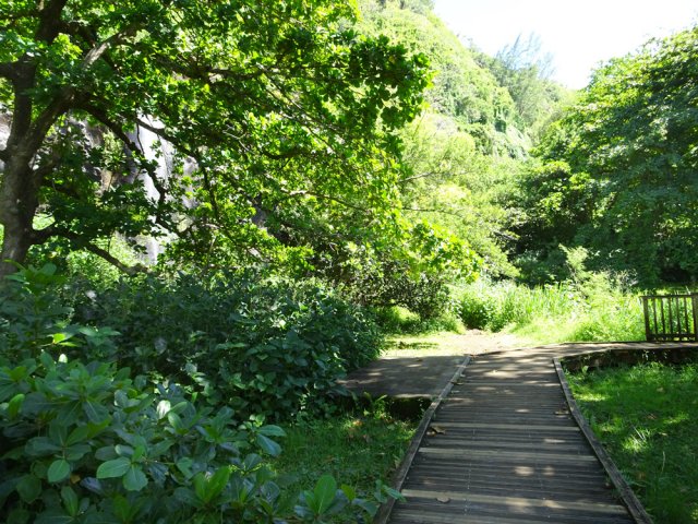 La piste ne s'approche pas plus de la cascade