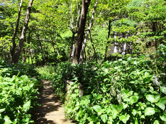 Poursuivre en direction de l'océan