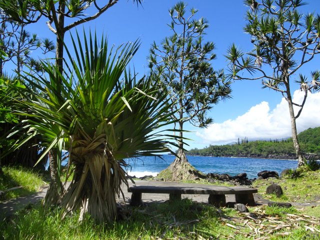 Une petite rotonde ombragée pour rêver face à la mer