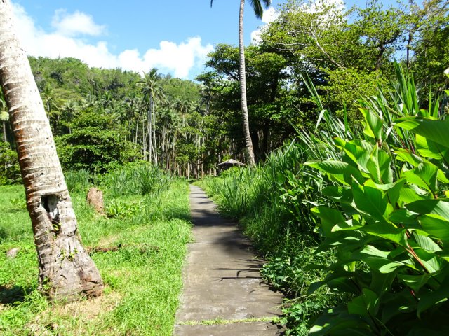 Retour vers le parking en direction de la cocoteraie