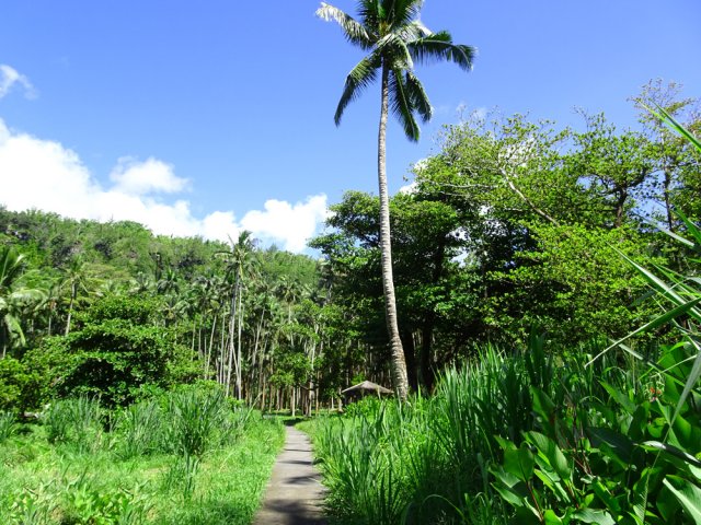 On distingue les premiers kiosques de pique-nique