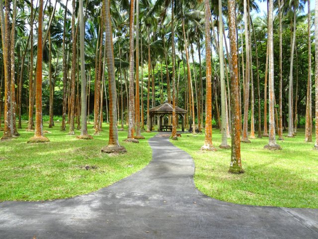 Aucun effort pour rejoindre une demi-douzaine de kiosques