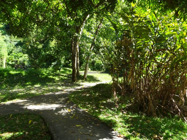 Légère pente jusqu'à la pompe en ruine recouverte de graffitis et de plantes