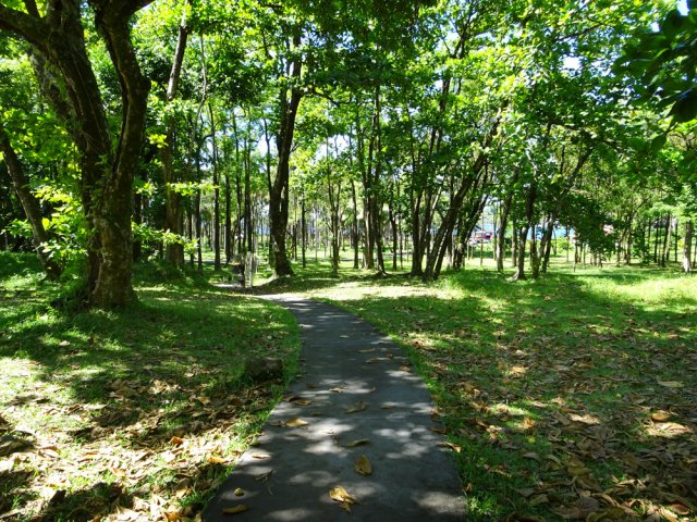 La piste est le plus souvent à l'ombre