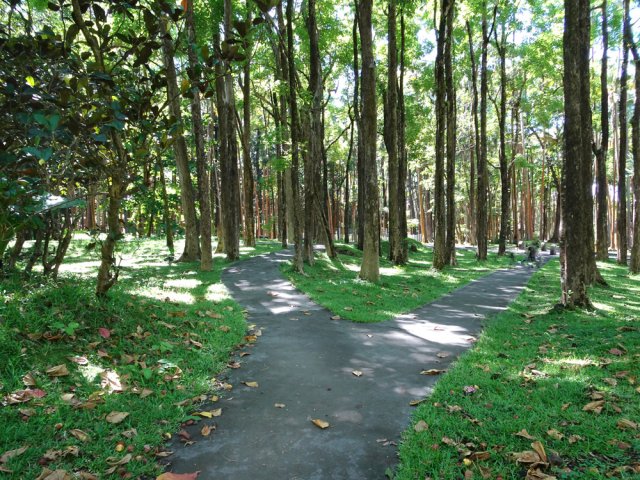 D'autres embranchements à tester au retour