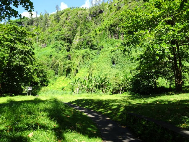Se rapprocher de la falaise et des bananiers