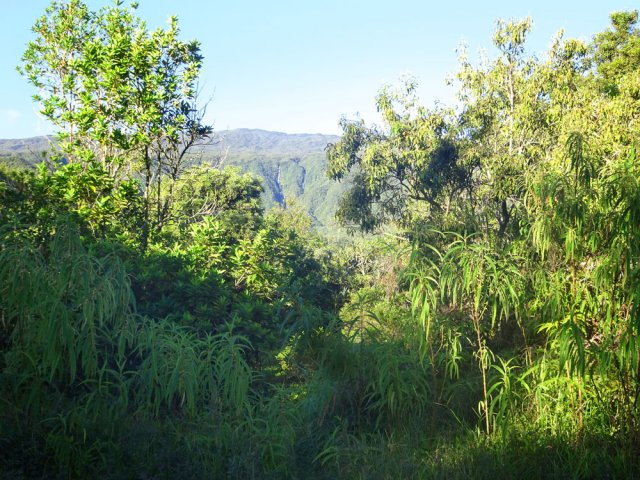 Le départ de l'ancien sentier de Bélouve