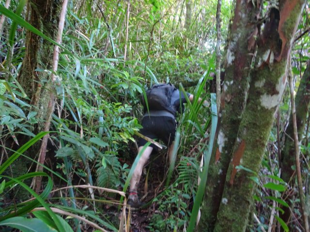 La remontée est très sportive