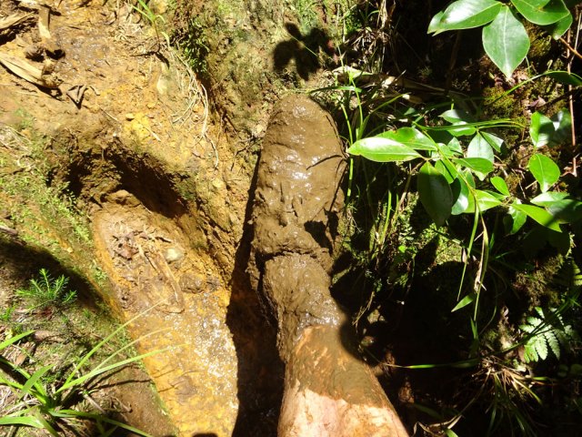 Il faut faire avec l'inévitable boue