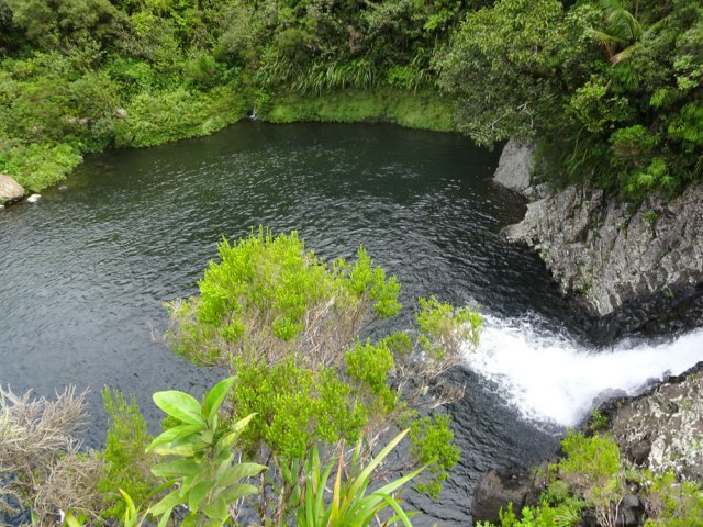 Le même bassin après la remontée en forêt