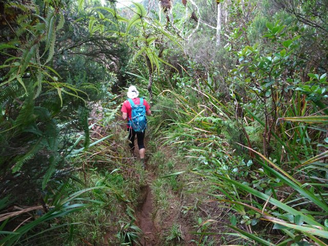 Reprendre le sentier de Bélouve en direction de l'Eden