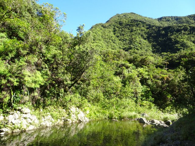 Le Morne du Bras des Lianes qui domine le Bras Piton