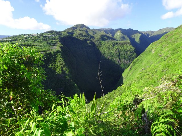 Superbes points de vue sur Bois de Nèfles et la Ravine des Patates à Durand