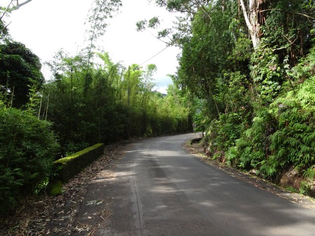 Les portions de route, à 500 m d'altitude, sont calmes et reposantes