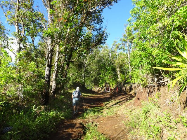 L'arrivée à la barrière de l'aire de loisirs du Piton Patates