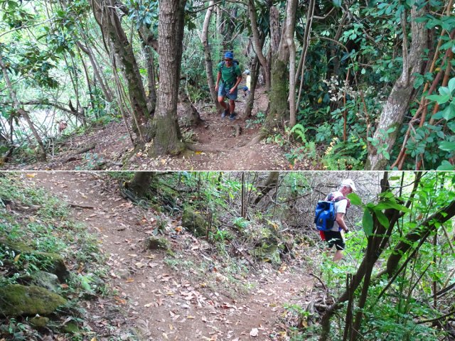 Reprendre le sentier jusqu'au prochain croisement