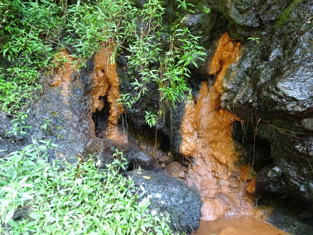 Quelques sources ferrugineuses ajoutent de la couleur