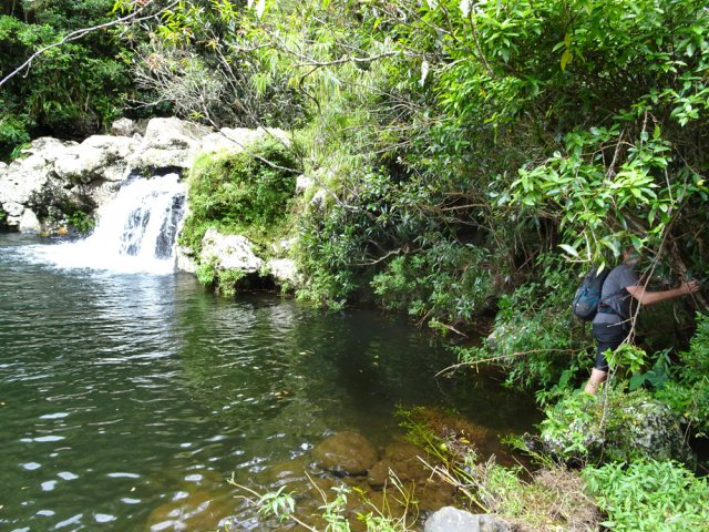 Début très discret pour remonter le Bras Laurent