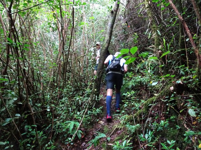 Reprendre la direction de la route sur un sentier bien marqué