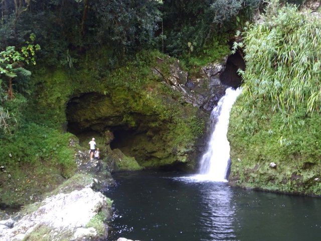 Magnifique cadre sauvage pour le Bassin Jacob