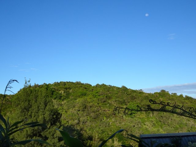 Les collines de Grands Bois qui dominent le Bassin Diable