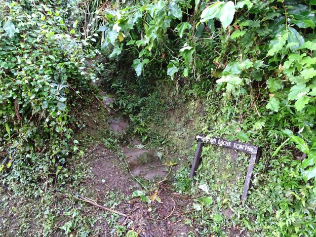 Début du dernier raccourci qui se termine à l'aire de repos de Mamode Camp