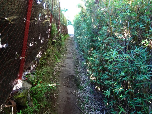 Sentier glissant longeant des propriétés