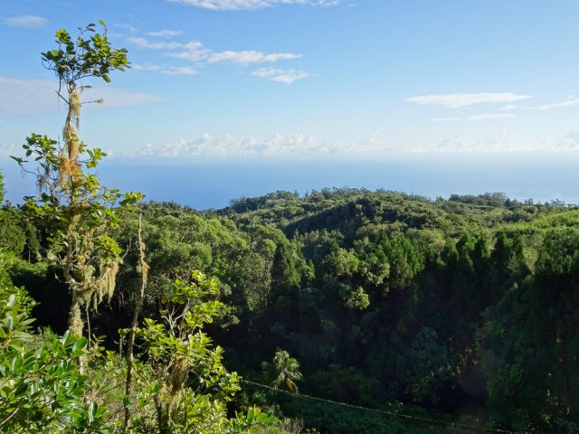 Le sentier domine la vallée du Bras Mahot