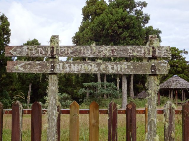 Un panneau collector qui ne restera pas des décennies