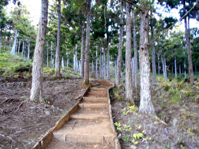 Possibilité de faire une pose sous les kiosques en début de montée
