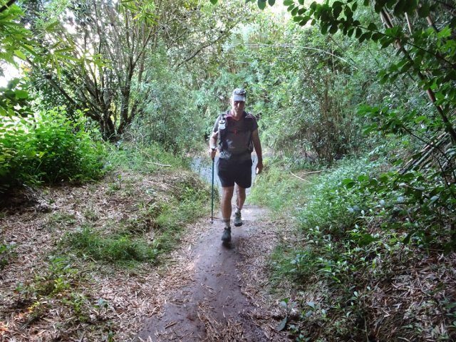 Le deuxième dans les bois de couleurs