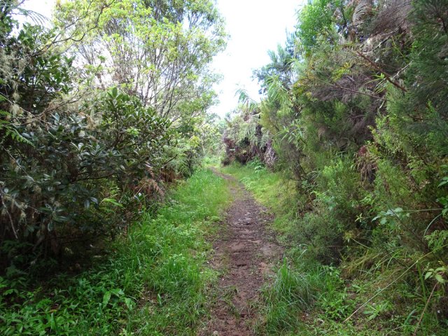 Une autre partie un peu glissante