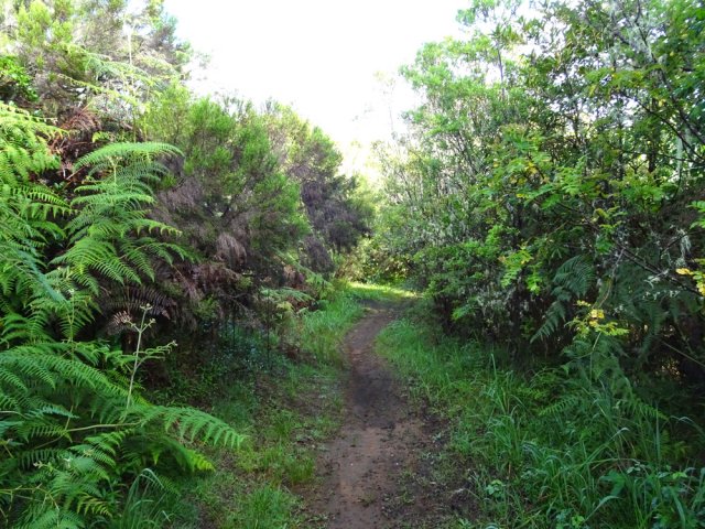Il peut y avoir un peu de boue après la pluie