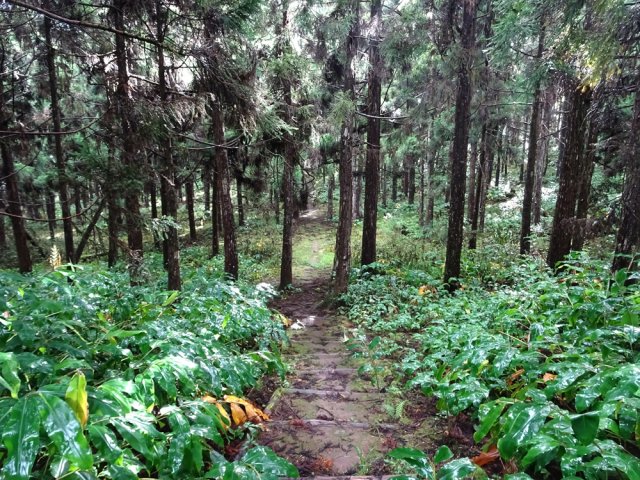 Malgré les marches, le sentier peut être glissant