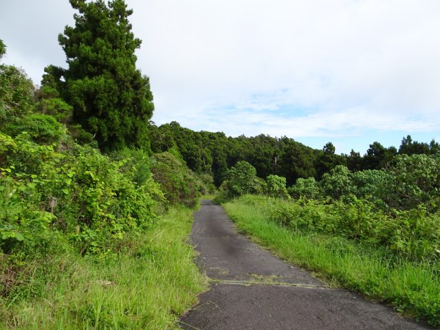 La route devient de plus en plus étroite
