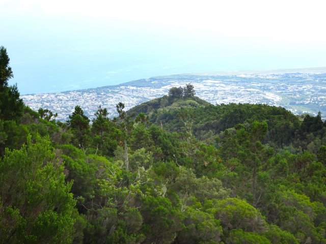 Le Morne Saint-François reconnaissable à ses filaos
