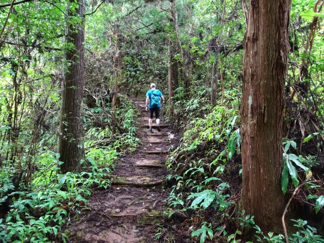 Le sentier est toujours en bon état