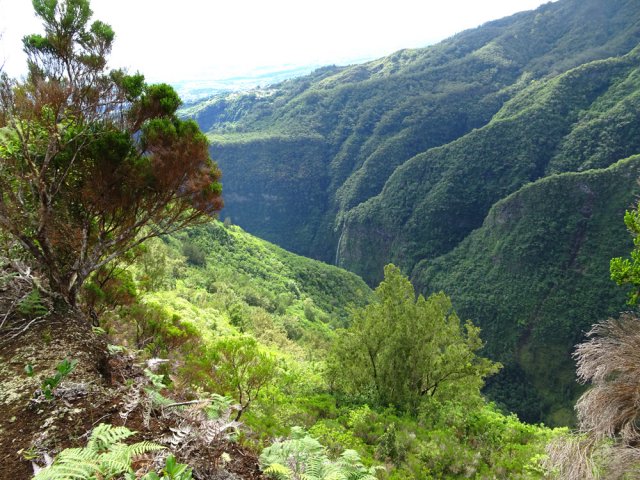 L"aval de la Ravine des Patates à Durand