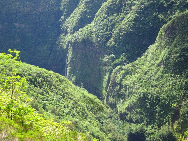 Quelques fines cascades alimentent la ravine